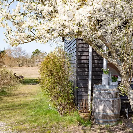 Hostel Poppelgaarden Rømø *