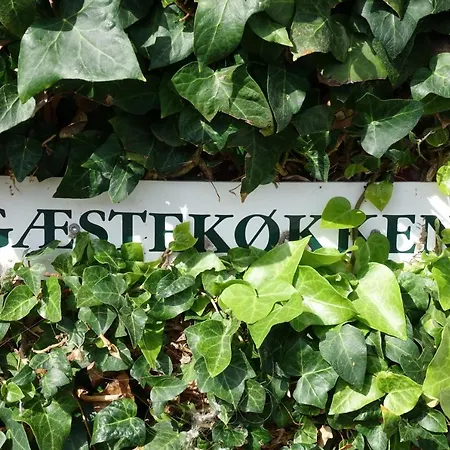 Poppelgaarden Rømø Rømø Kirkeby