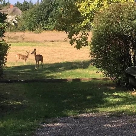 Poppelgaarden Rømø Hostel *