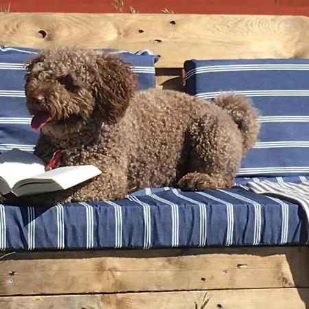 Poppelgaarden Rømø * Rømø Kirkeby