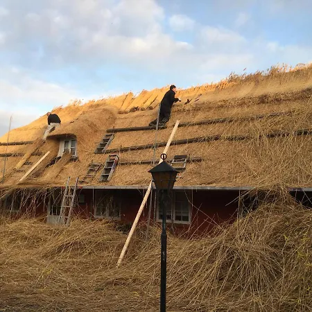 Poppelgaarden Romo Ostello Rømø Kirkeby