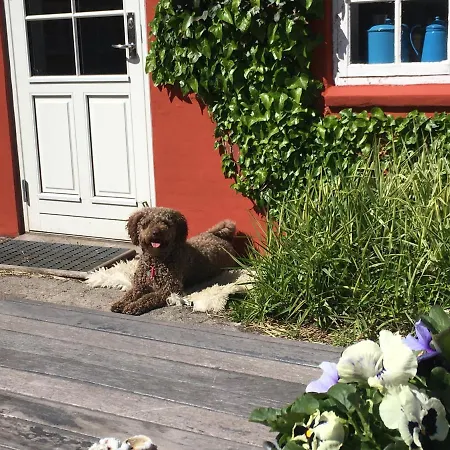 Poppelgaarden Rømø *